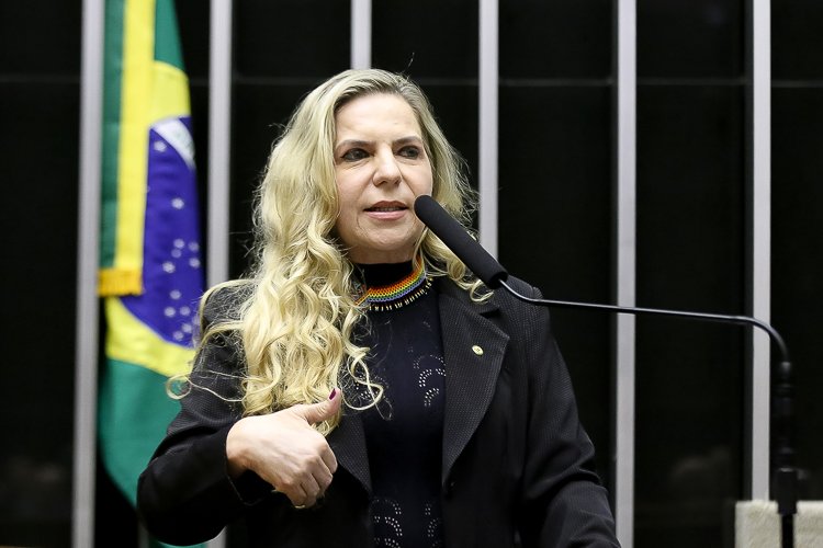 Luizianne promove seminário sobre feminicídio em Fortaleza durante os 20 anos da Lei Maria da Penha